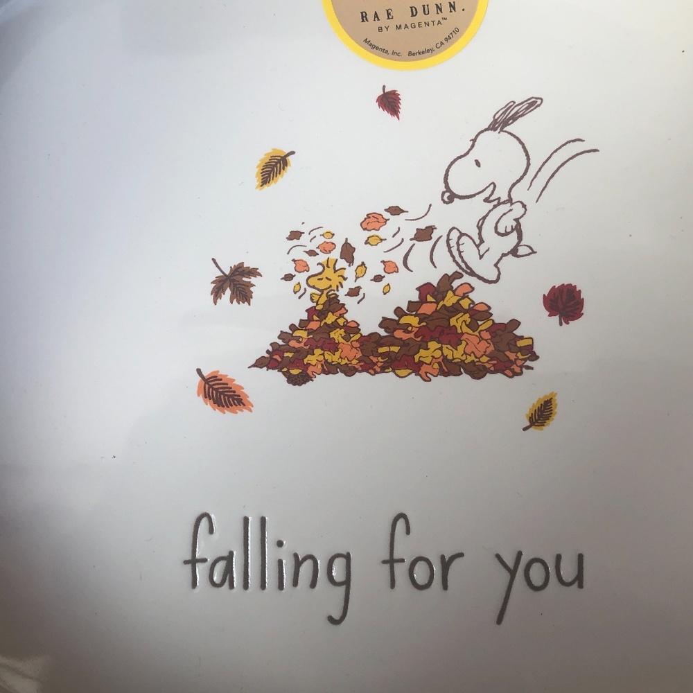NWT Rae Dunn Peanuts Snoopy & Woodstock "Falling For You" Pumpkin Shaped Bowl - Picture 2 of 5